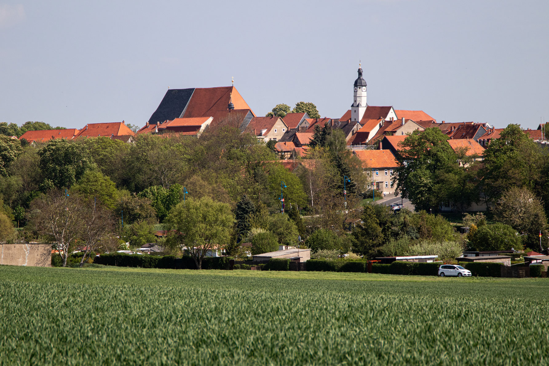 Blick-über-ein-Feld-auf-die-Stadt-Weißensee-©-Ralf-Nicolai